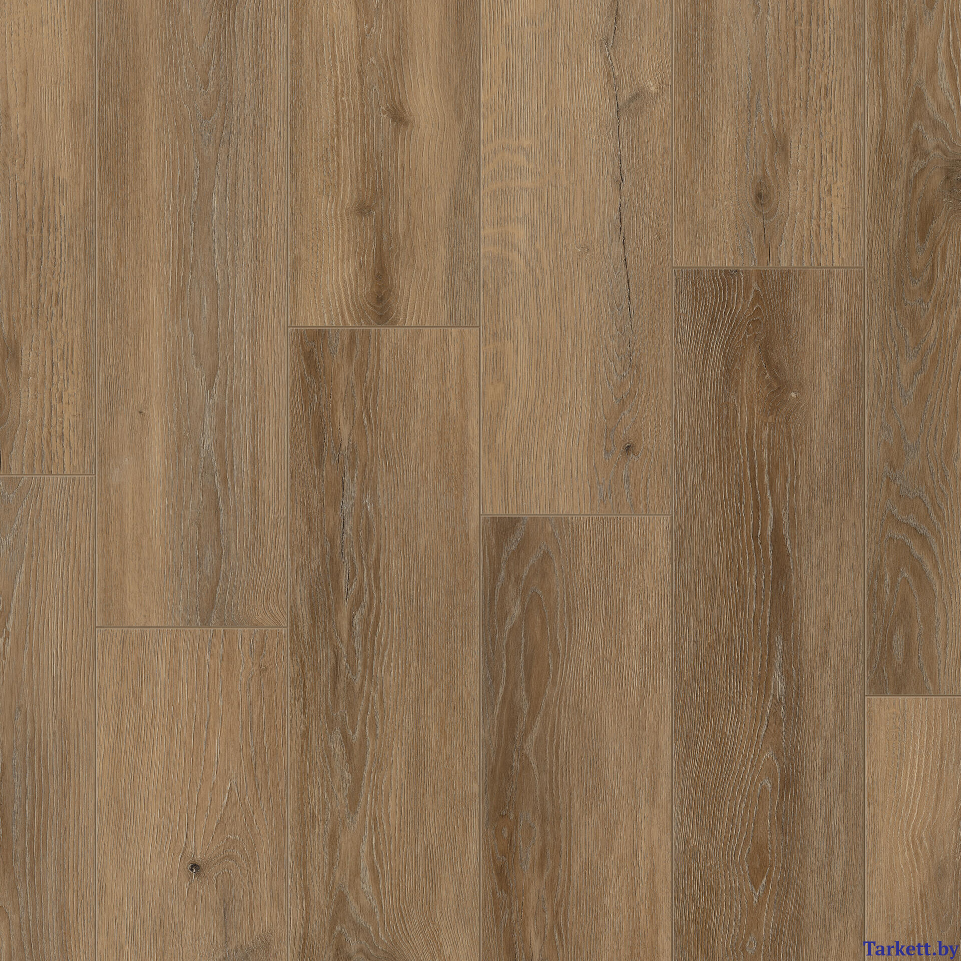 SPC плитка Tarkett EASTWOOD - RAQUEL | Tarkett.by