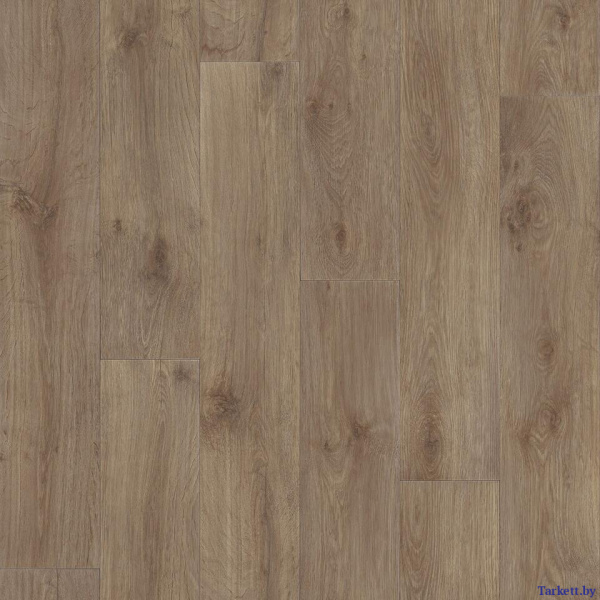 Линолеум Tarkett Polystyl  SPACE F - Santiago 1