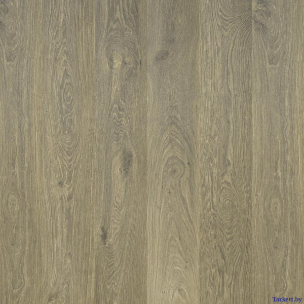 картинка Ламинат Tarkett GERMANY - Oak Bremen / Дуб Бремен от магазина tarkett.by