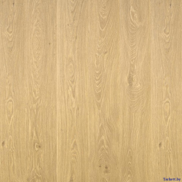 картинка Ламинат Tarkett GERMANY - Oak Hamburg / Дуб Гамбург от магазина tarkett.by